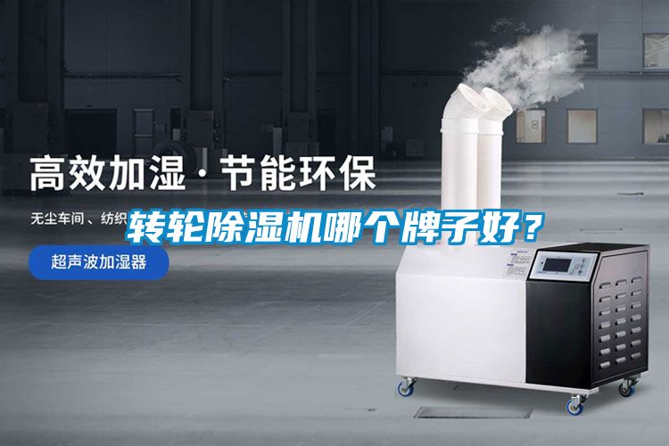 轉輪除濕機哪個牌子好？