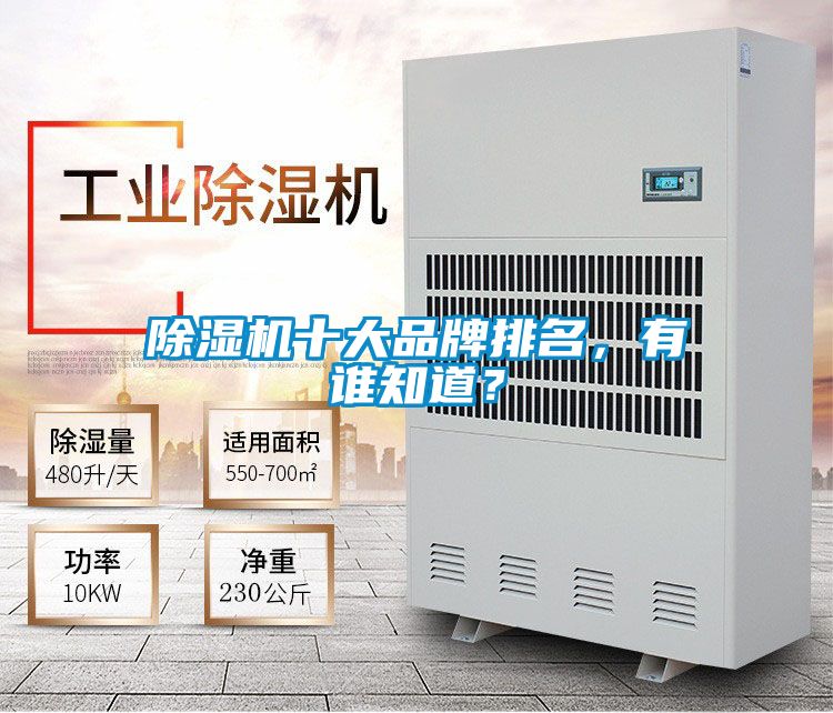 除濕機十大品牌排名，有誰知道？