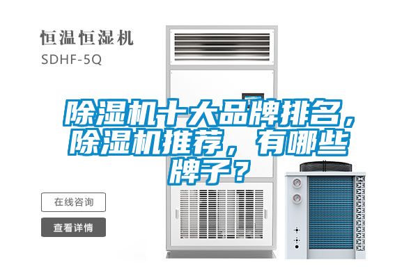 除濕機十大品牌排名，除濕機推薦，有哪些牌子？