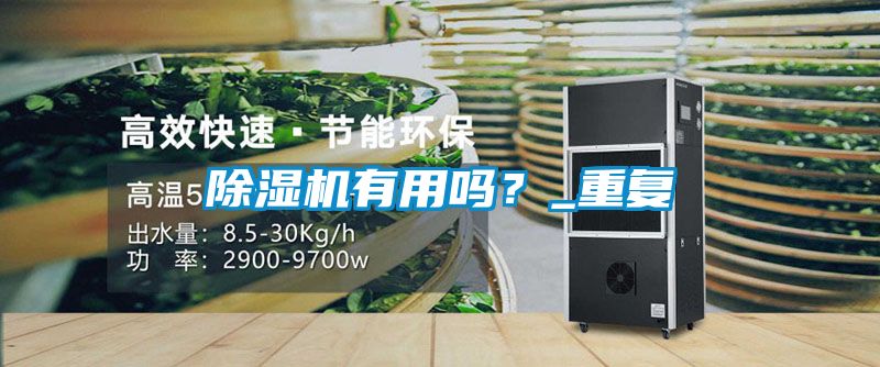 除濕機(jī)有用嗎？_重復(fù)