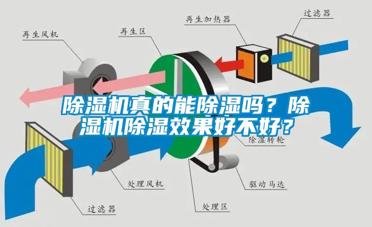 除濕機真的能除濕嗎？除濕機除濕效果好不好？