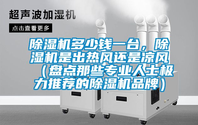 除濕機多少錢一臺，除濕機是出熱風(fēng)還是涼風(fēng)（盤點那些專業(yè)人士極力推薦的除濕機品牌）