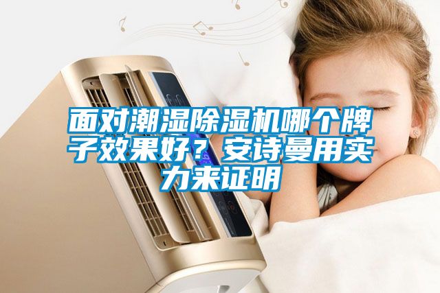 面對潮濕除濕機哪個牌子效果好？安詩曼用實力來證明