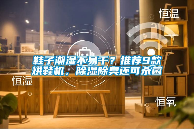 鞋子潮濕不易干？推薦9款烘鞋機，除濕除臭還可殺菌