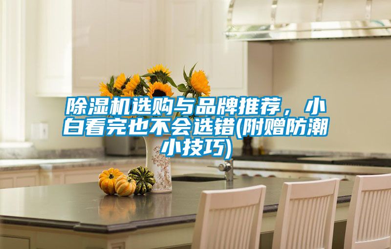 除濕機選購與品牌推薦，小白看完也不會選錯(附贈防潮小技巧)