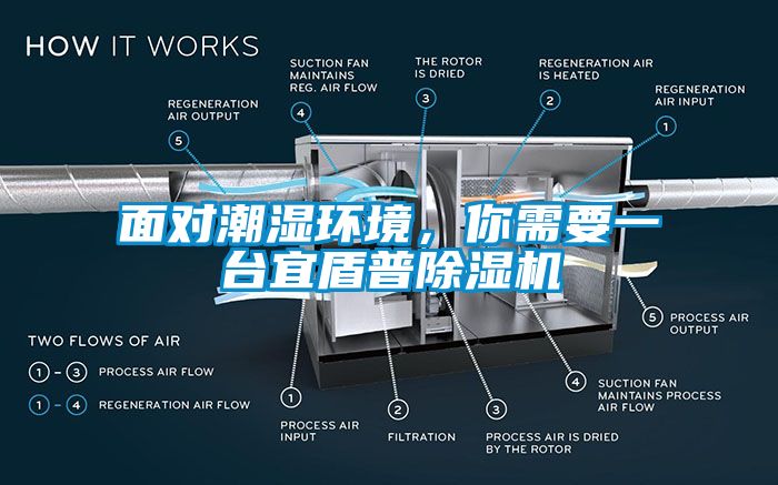 面對潮濕環(huán)境，你需要一臺宜盾普除濕機(jī)