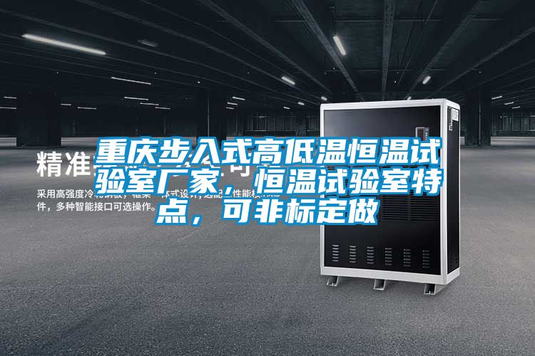 重慶步入式高低溫恒溫試驗室廠家，恒溫試驗室特點，可非標定做