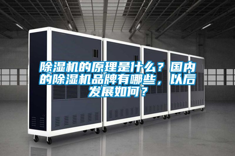 除濕機的原理是什么？國內的除濕機品牌有哪些，以后發展如何？