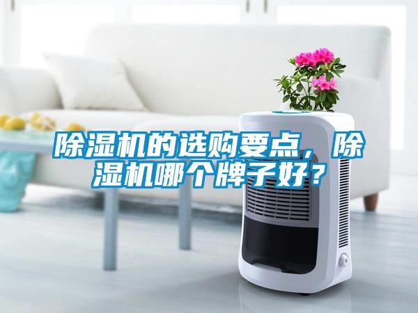 除濕機(jī)的選購(gòu)要點(diǎn)，除濕機(jī)哪個(gè)牌子好？
