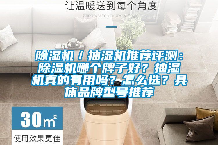 除濕機／抽濕機推薦評測：除濕機哪個牌子好？抽濕機真的有用嗎？怎么選？具體品牌型號推薦