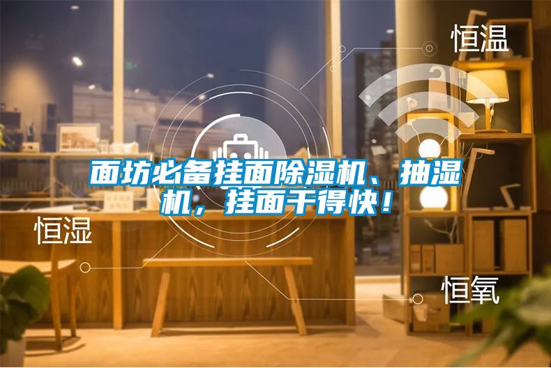 面坊必備掛面除濕機(jī)、抽濕機(jī)，掛面干得快！