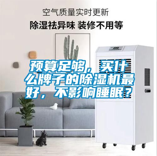 預算足夠，買什么牌子的除濕機最好，不影響睡眠？