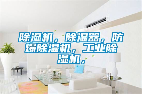 除濕機，除濕器，防爆除濕機，工業除濕機，