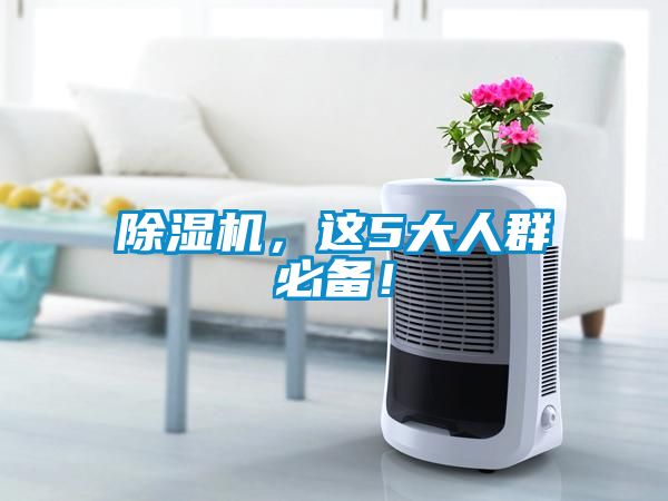 除濕機，這5大人群必備！