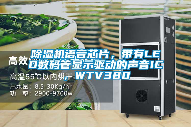 除濕機語音芯片，帶有LED數碼管顯示驅動的聲音IC，WTV380
