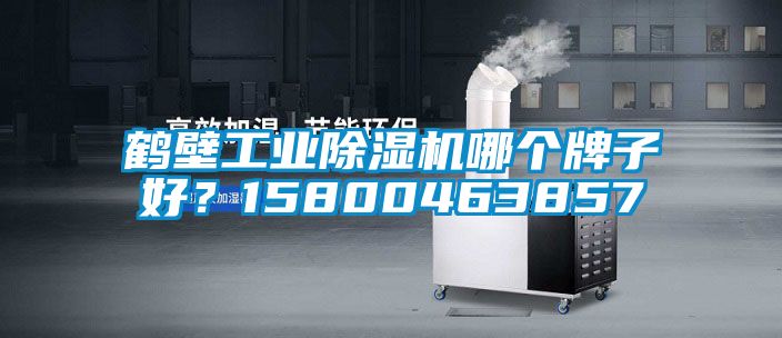 鶴壁工業(yè)除濕機(jī)哪個(gè)牌子好？15800463857